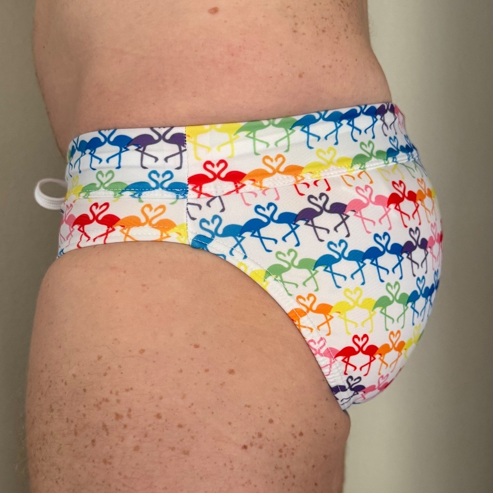 2xist Pride Rainbow Flamingos Swim Brief - Small - Picture 4 of 5